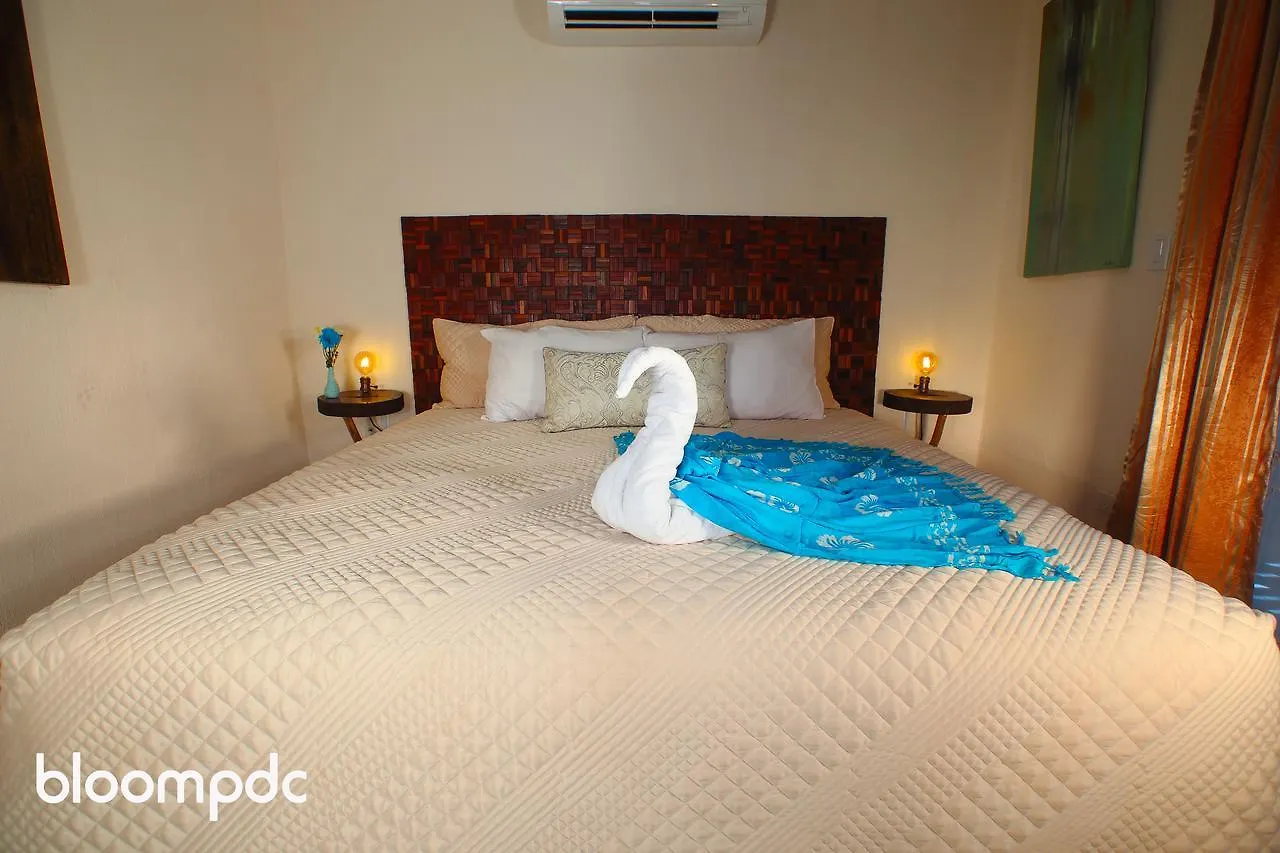 Bloom! Exclusive Boutique B&B (Adults Only) Playa del Carmen