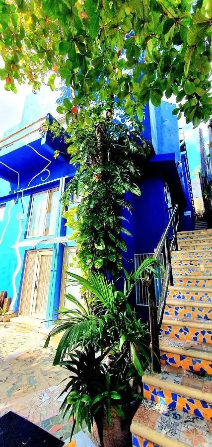 Bloom! Exclusive Boutique B&B (Adults Only) Playa del Carmen Hotel