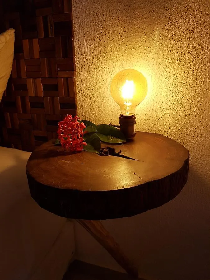 Bloom! Exclusive Boutique B&B (Adults Only) Playa del Carmen 3*,
