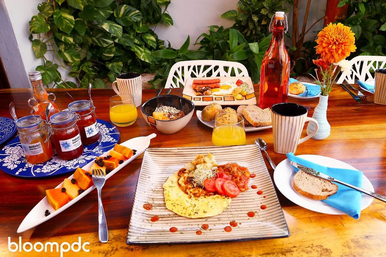 Bloom! Exclusive Boutique B&B (Adults Only) Playa del Carmen 3*,  Mexico