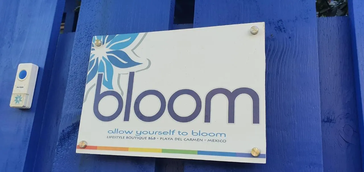Bloom! Exclusive Boutique B&B (Adults Only) Playa del Carmen Mexico